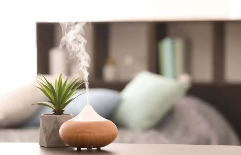 檸檬草精油 日常保健應用